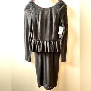 NWT size 2 Cynthia Steffe sheath long sleeve dress